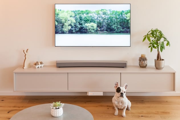 perene_haguenau_15142_cu_1332979_IMG_3690 perene_haguenau_15142_cu_1332979_IMG_3690