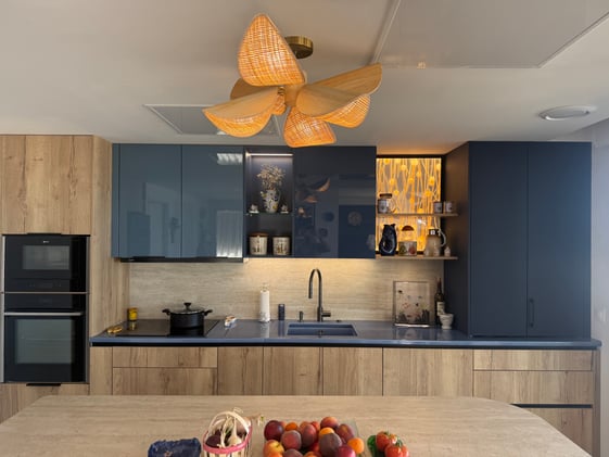 meubles.hauts_.façades.vernis.laquee meubles.hauts_.façades.vernis.laquee