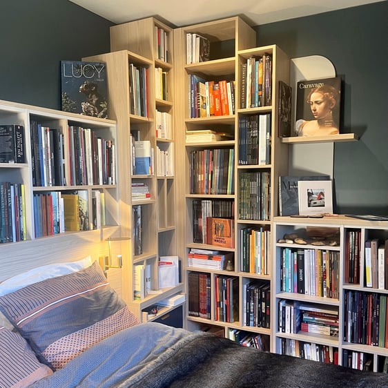 Bibliothèque et tête de lit 