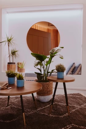 table basse dans salon minimaliste perene 