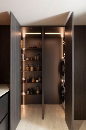 Grand placard qui abrite un garde manger et une buanderie