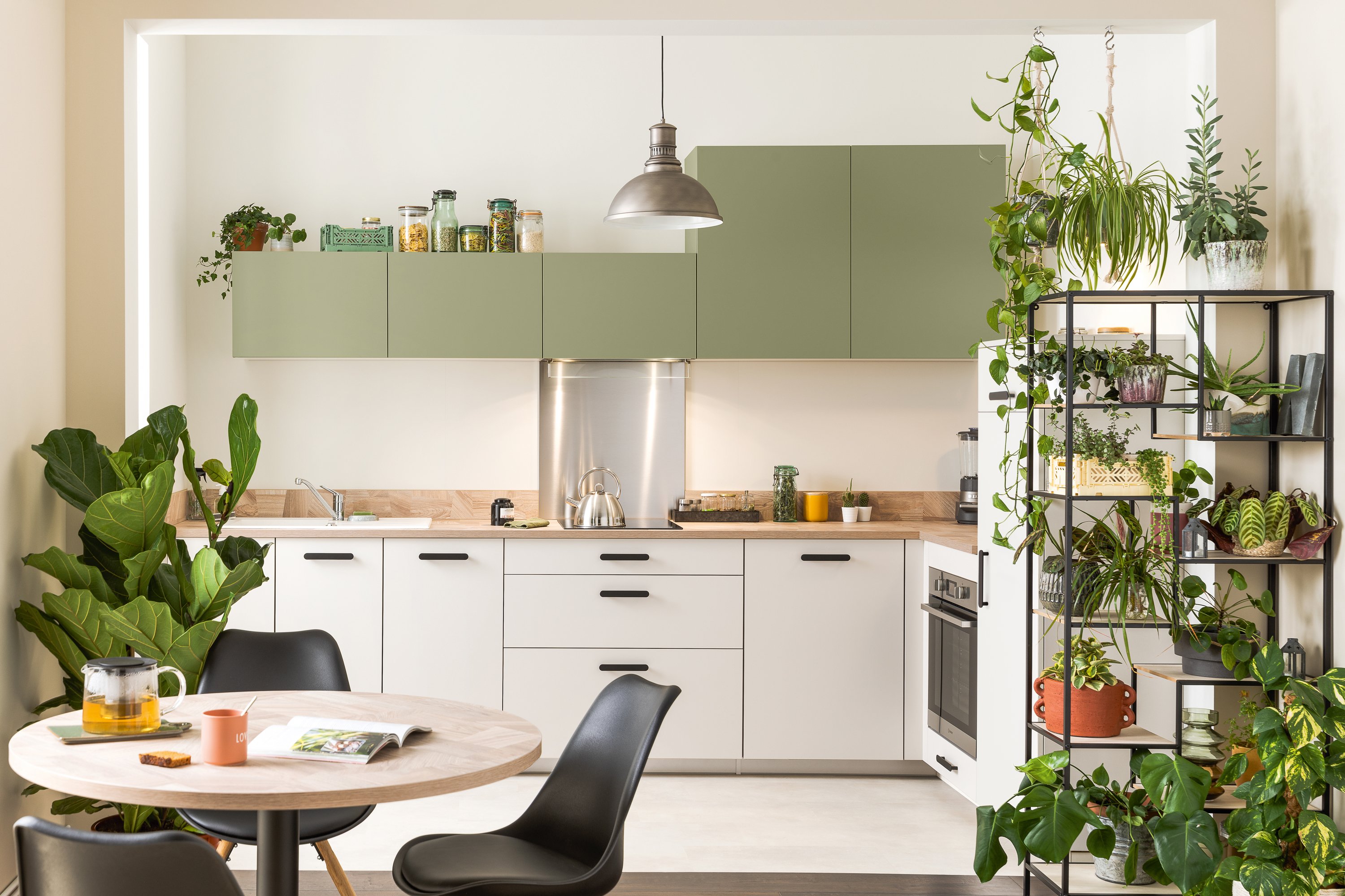 socooc-cuisines-equipees-matcha-ambiance-vegetale_0