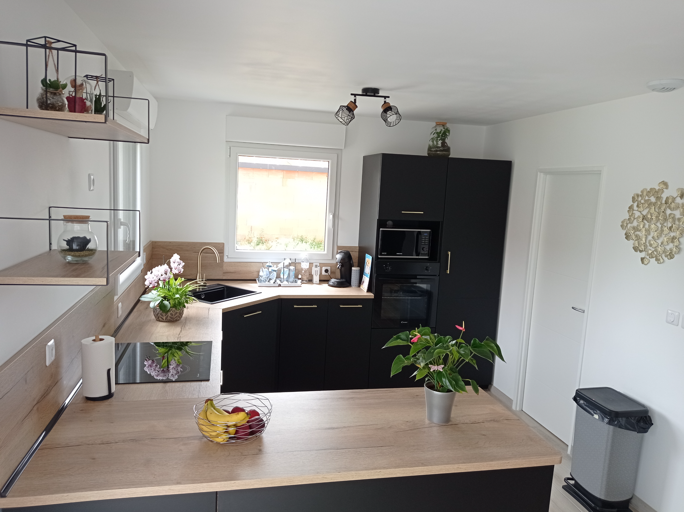 IMG_20230701_143428%20%281%29