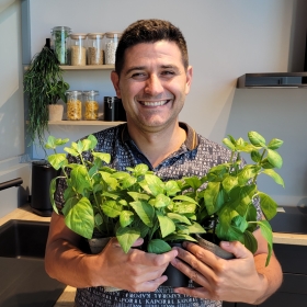 vignette_kitchener-Anthony_5