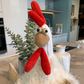 vignette_kitchener-IMG_5289