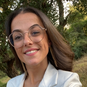 vignette_kitchener-1725294262428_0